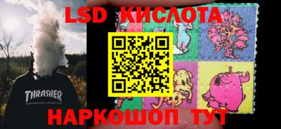 СК Новозыбков