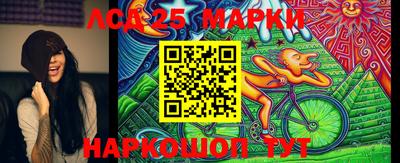 индика Новодвинск