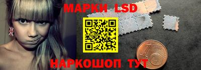 индика Новодвинск