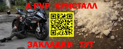 СК Новозыбков