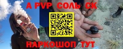 индика Новодвинск