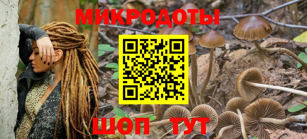 Псилоцибиновые грибы MAGIC MUSHROOMS Сокол